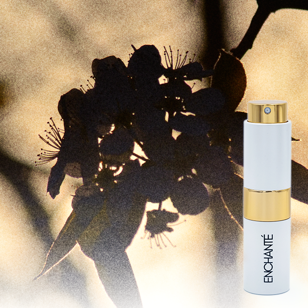 Libre Radiance
